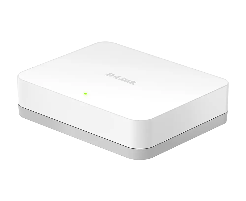 DGS-1005A 3.webp