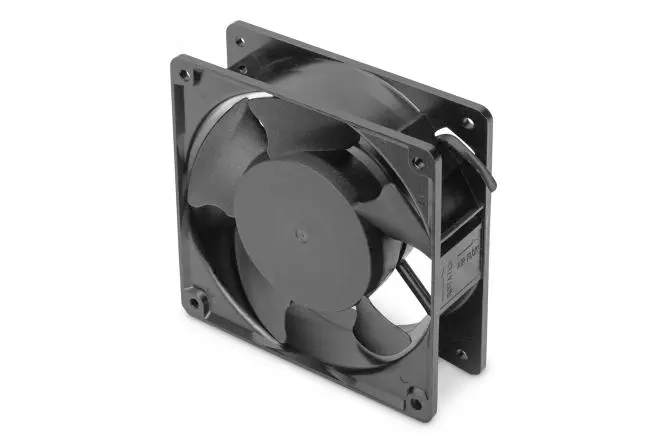 DN-19 FAN 2.webp