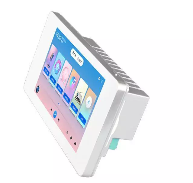 DSPPA 2×20W Stereo Network Music Amplifier