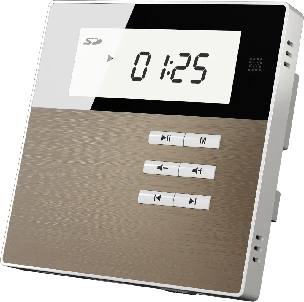 DSPPA Smart Home on Wall Music Amplifier