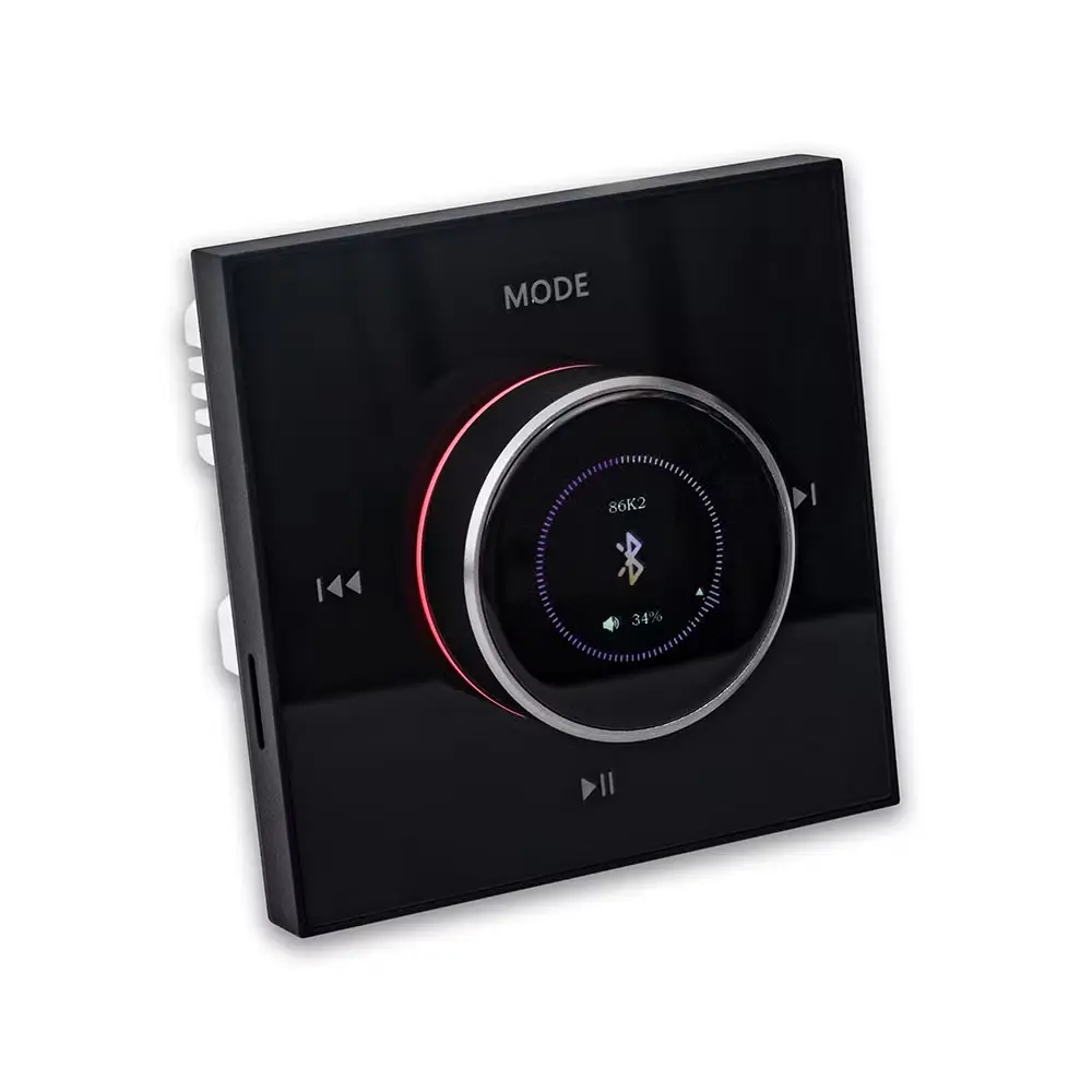 Master Team Smart Home on Wall Music Amplifier