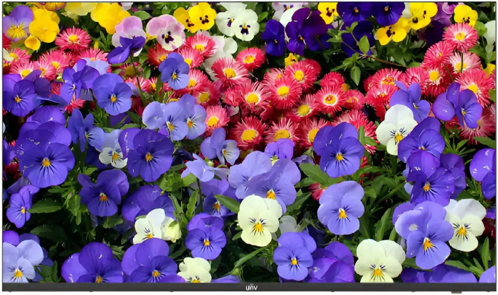 Uniview 43 Inch LED UHD Monitor