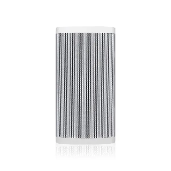 DSPPA 60W Outdoor Column Speaker