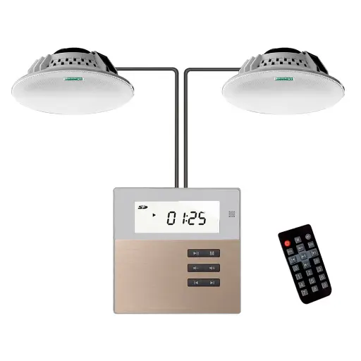 [M2W] Dsppa Smart Home on Wall Music Amplifier Kit