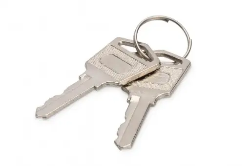 [DN-45000-KEY] DIGITUS Keys for loading lockers (trolleys)
